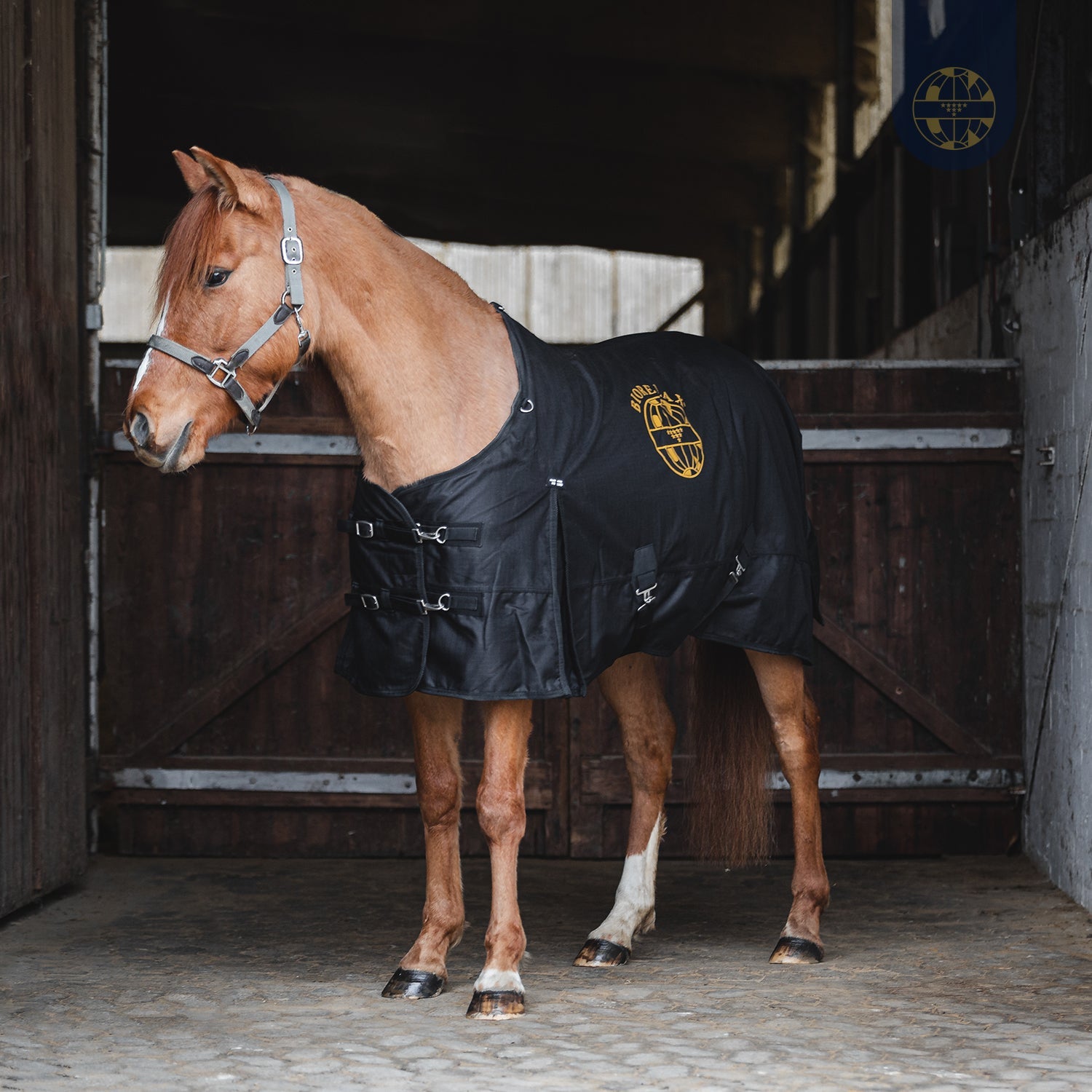 Wohlbefinden für Tiere – wie Kleinsche Felder auch Haustieren helfen können