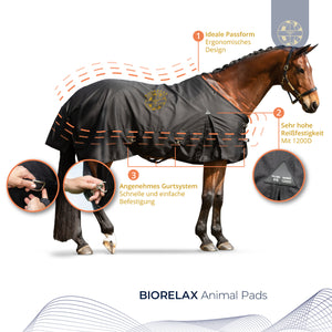 BIORELAX Pferdedecke mit Klein’sche Felder Pads