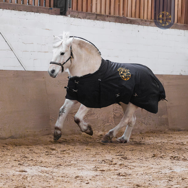 BIORELAX Pferdedecke mit Klein’sche Felder Pads