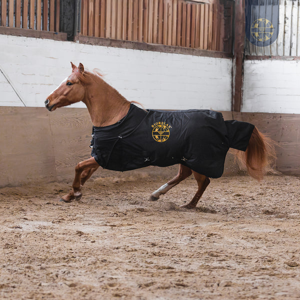 BIORELAX Pferdedecke mit Klein’sche Felder Pads