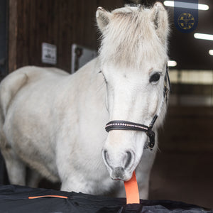 BIORELAX Pferdedecke mit Klein’sche Felder Pads