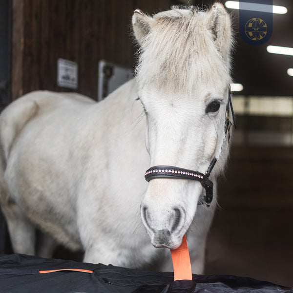 BIORELAX Pferdedecke mit Klein’sche Felder Pads