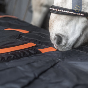 BIORELAX Pferdedecke mit Klein’sche Felder Pads