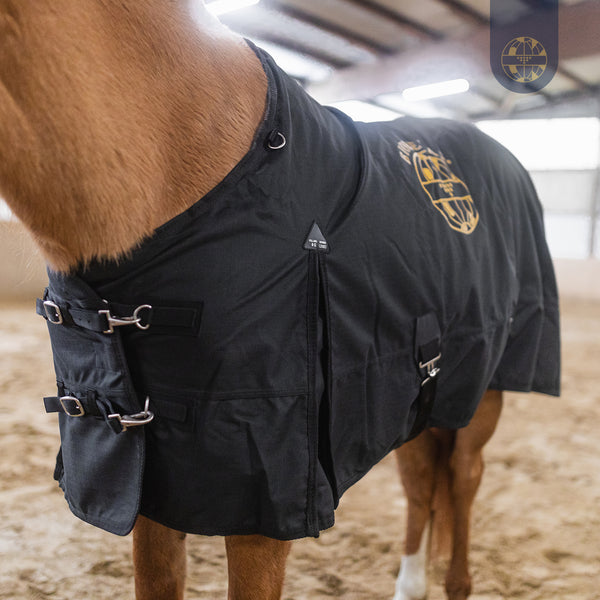 BIORELAX Pferdedecke mit Klein’sche Felder Pads