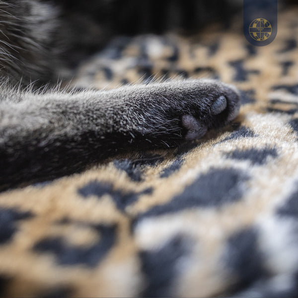 BIORELAX Tierkissen mit Klein’sche Felder Pads